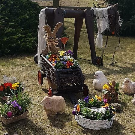 Urlaubsscheune Niedergorsdorf エクステリア 写真